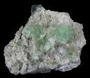 Sea Green Fluorite on Quartz - China #32491-1